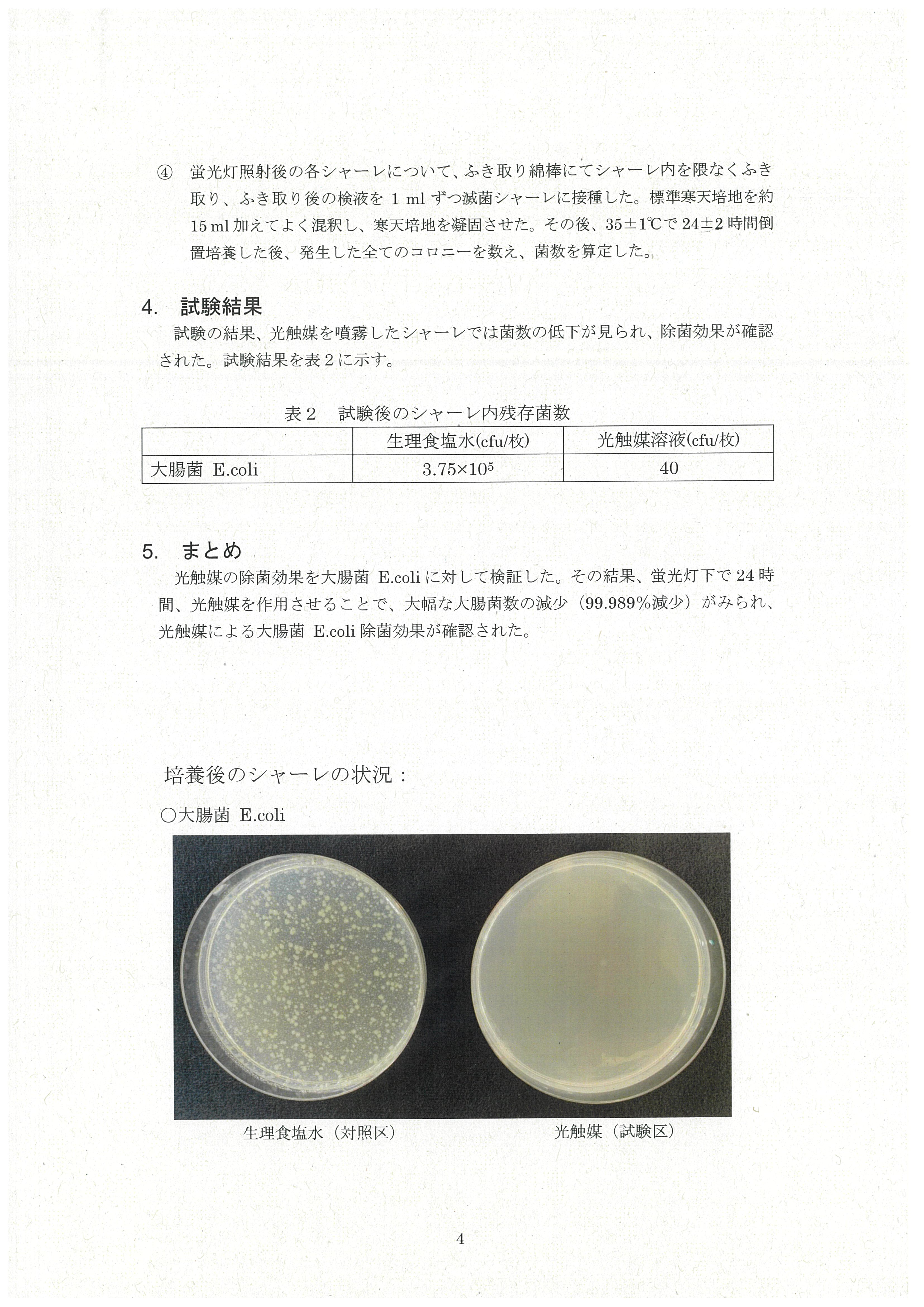 E. coli petri dish comparison — Control vs Nano Ark treated